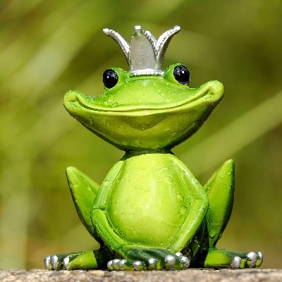 Portrait de Admin1er